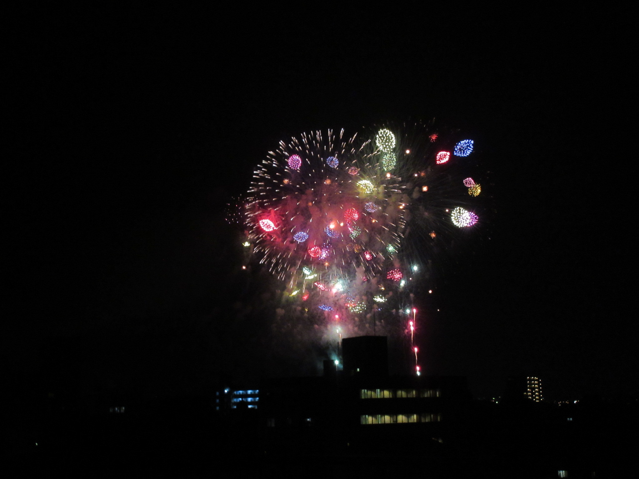 ８月３日夜　長岡花火（実写）_a0203003_11413443.jpg