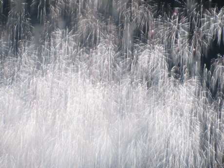 a0203003_11431563.jpg