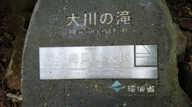 c0368903_02591554.jpg