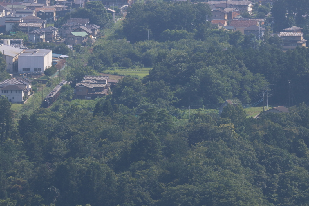 暑苦しい緑の森から森へ　- 2019年酷暑・秩父鉄道 -_b0190710_19281581.jpg