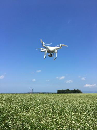 当別町で蕎麦畑空撮_b0283211_20511676.jpg