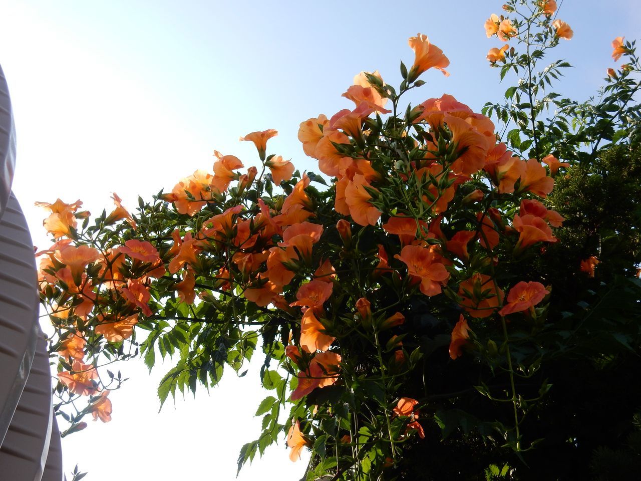 c0025115_22481064.jpg