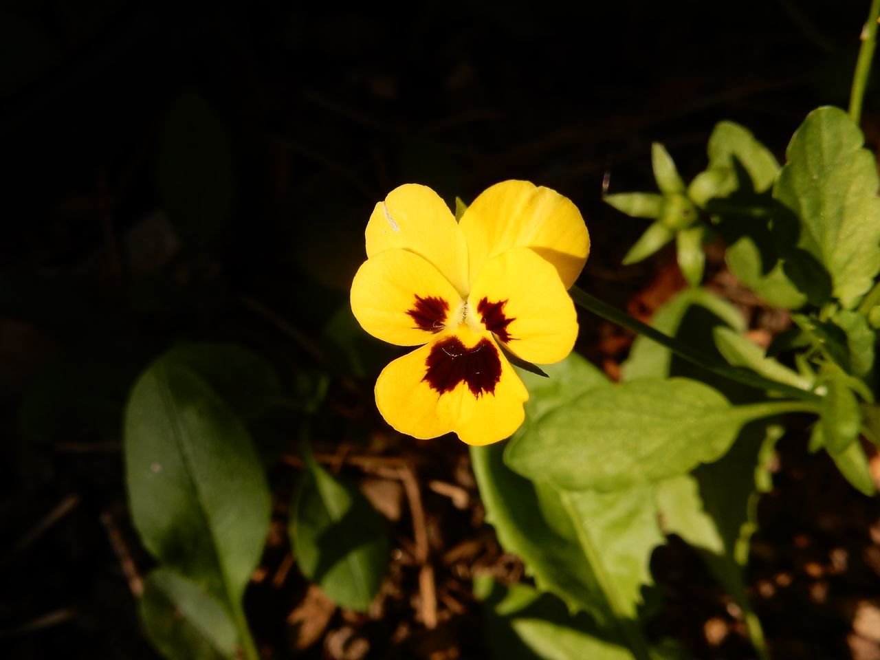 c0025115_22482114.jpg