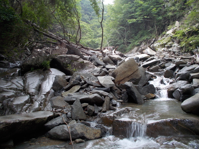b0037220_22403778.jpg