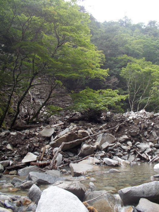 b0037220_22421578.jpg