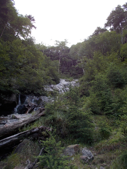 b0037220_22460821.jpg