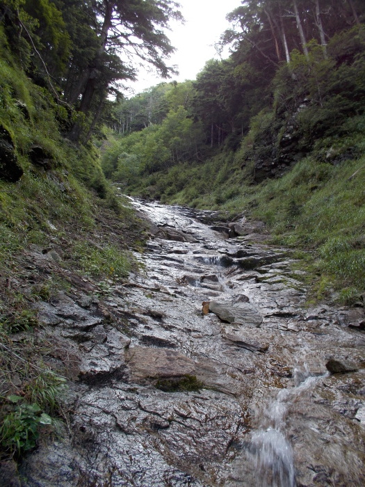 b0037220_22463814.jpg