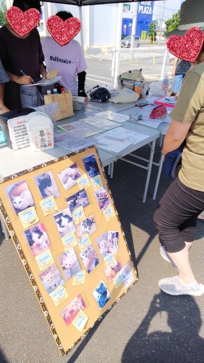 里親会のご報告_d0233224_10410252.jpg