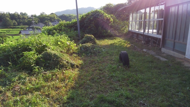 b0211925_02075255.jpg