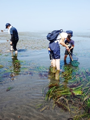 海の感動！磯遊びイベント_c0204725_12481329.jpg