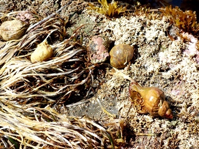 c0204725_12482572.jpg