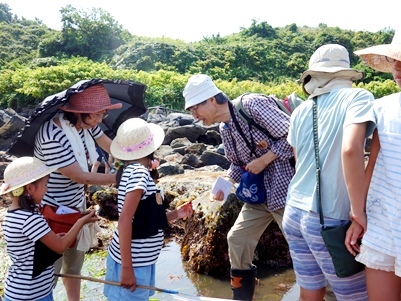 海の感動！磯遊びイベント_c0204725_13075362.jpg