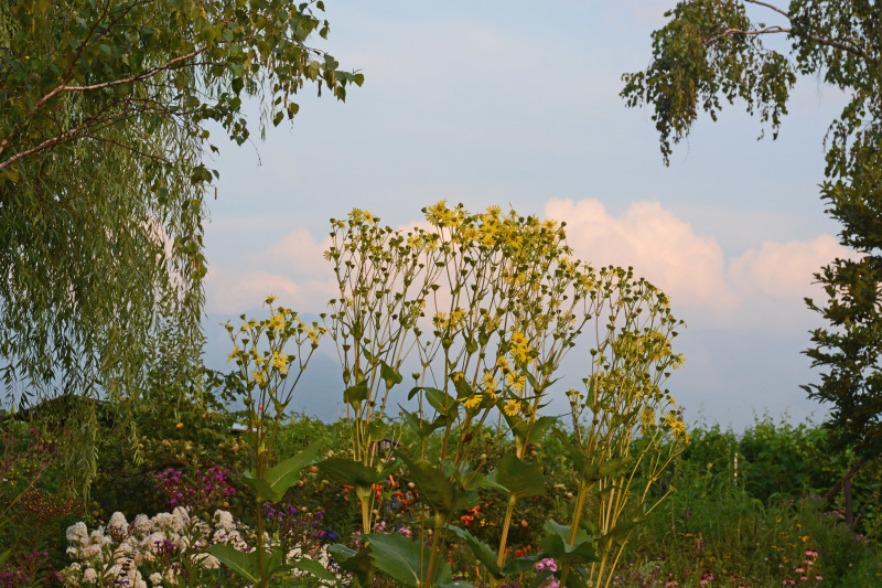 c0107129_23240439.jpg