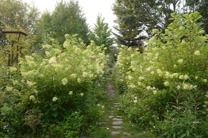 c0107129_23241773.jpg