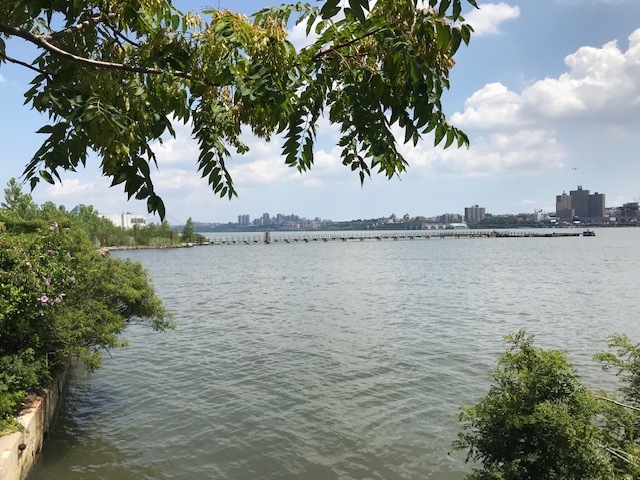 d0269832_05464663.jpeg
