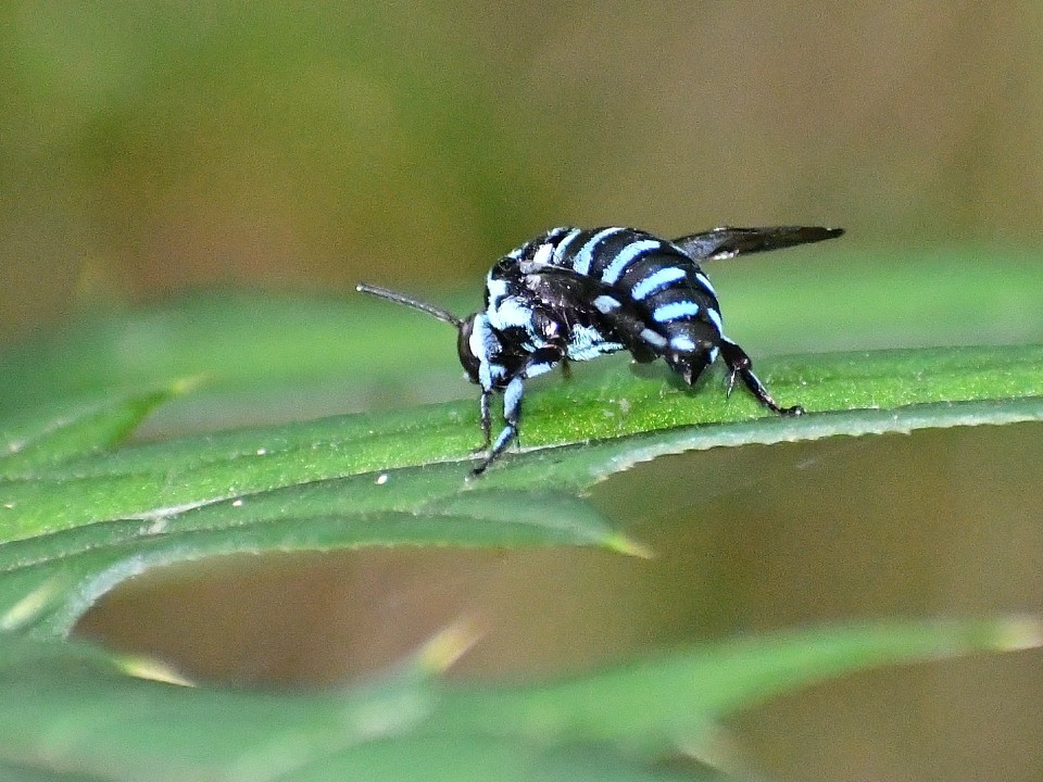 f0340732_14242952.jpg