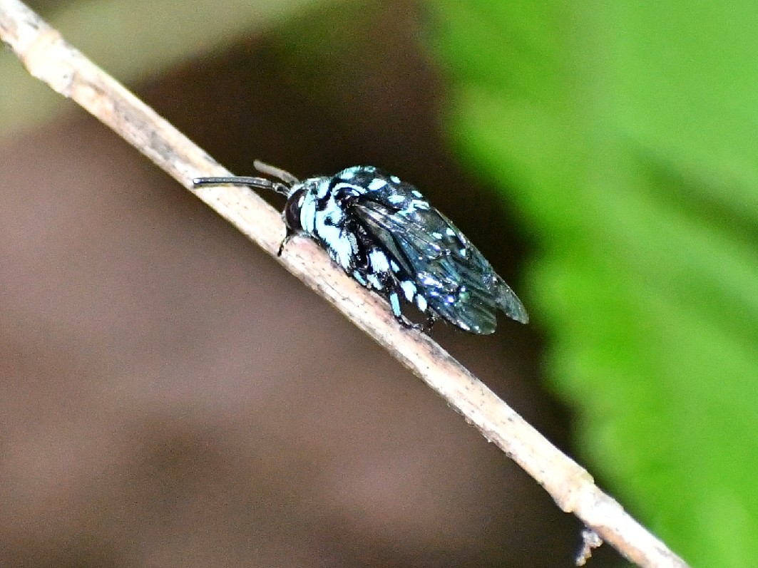 f0340732_14242971.jpg