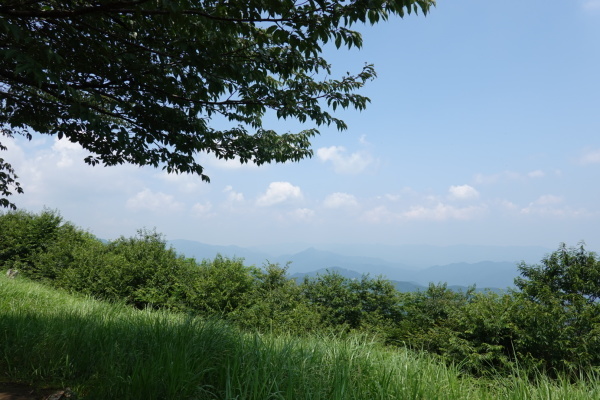 a0138134_00142473.jpeg