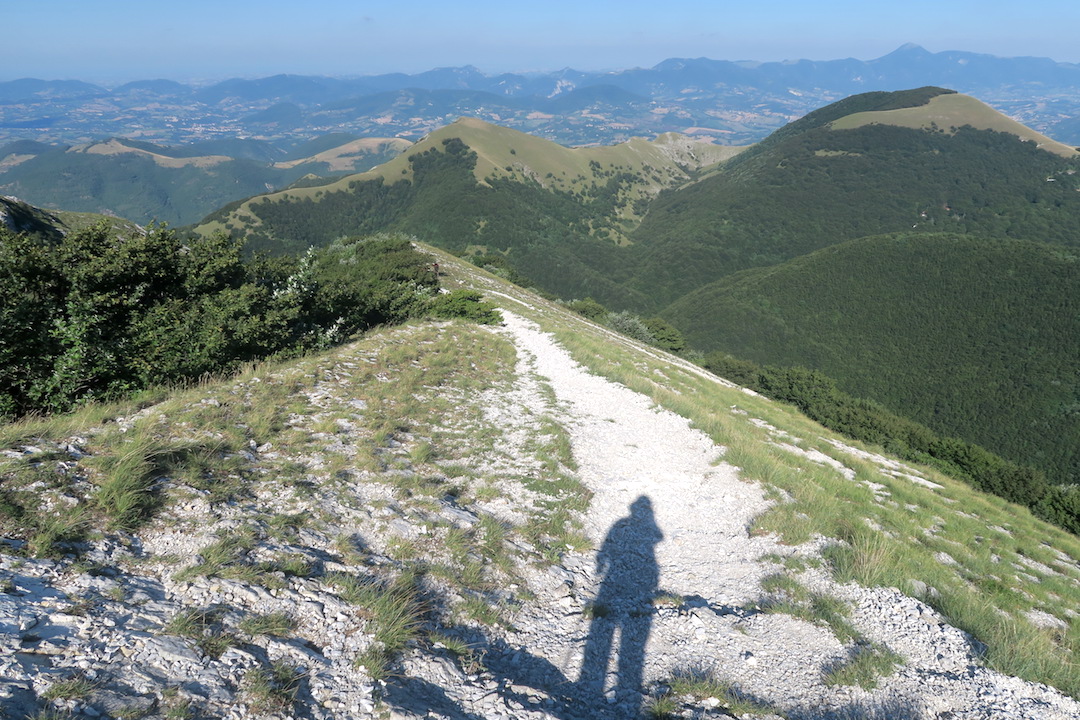 クッコ山牛を避けつつ山頂へ_f0234936_8142236.jpg