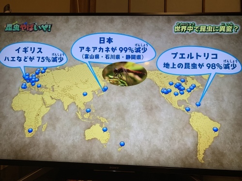 b0330040_22034867.jpeg