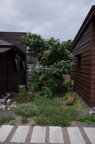 快晴だけど_b0207642_14120244.jpg