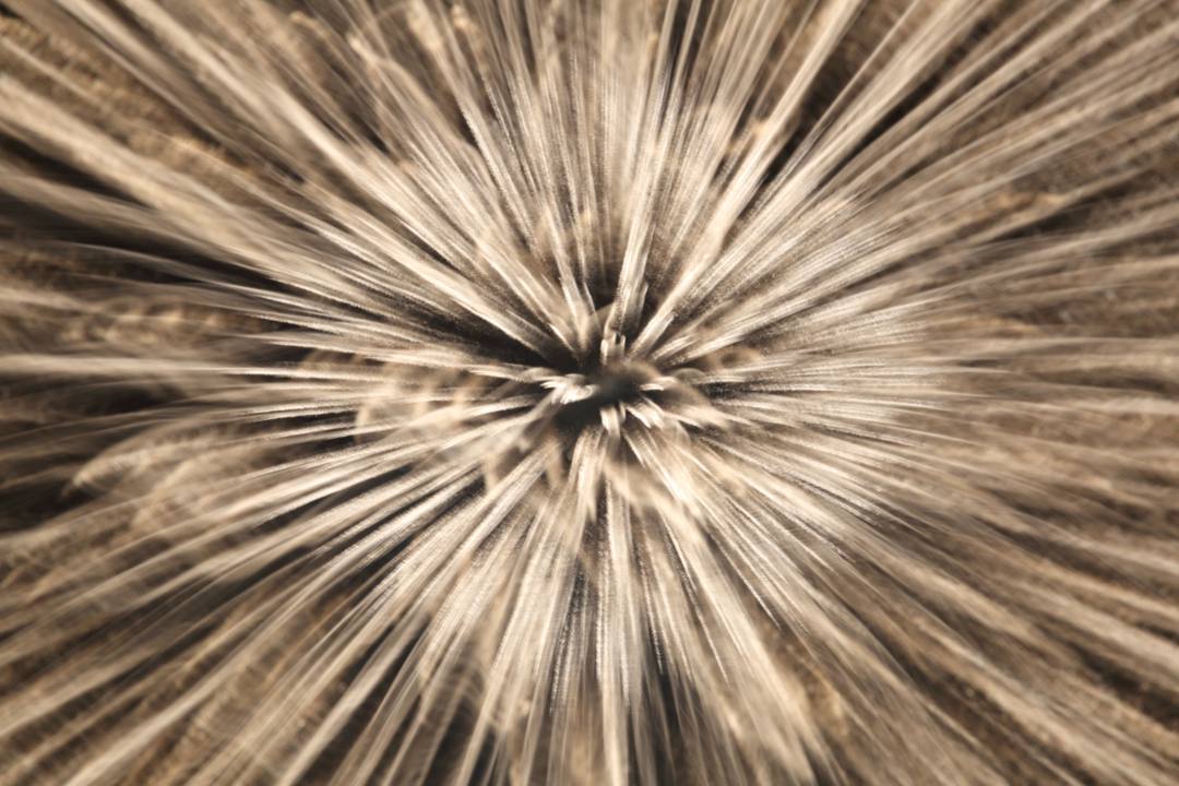 e0403850_08525666.jpg