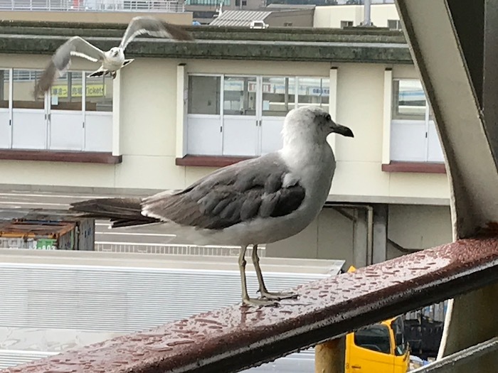 b0069156_08392287.jpeg