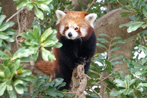 b0338756_08122473.jpg