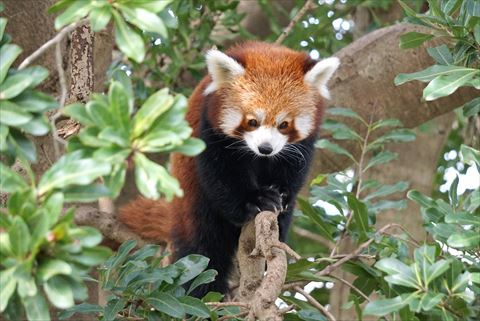 b0338756_08122480.jpg