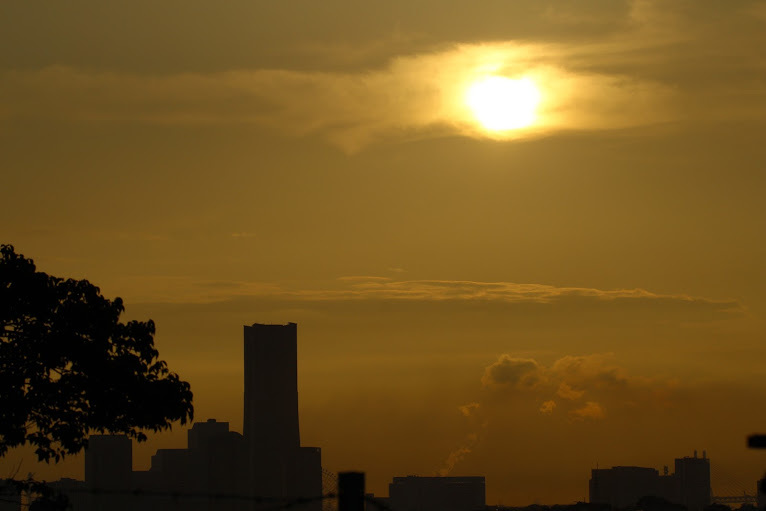a0248459_20383956.jpg