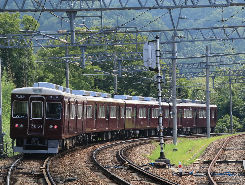 d0202264_664956.jpg