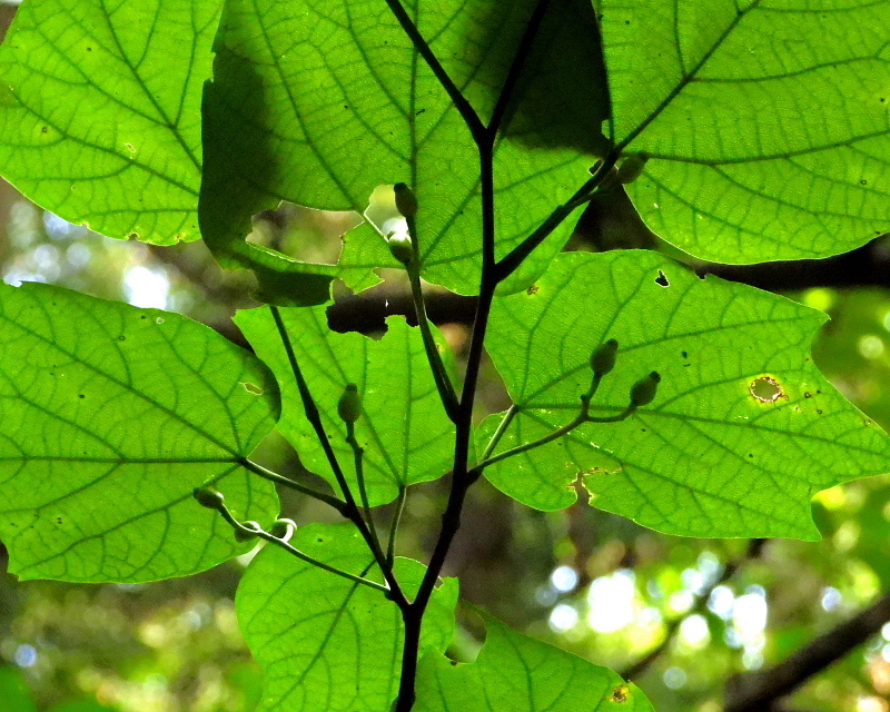 c0305565_18003968.jpg