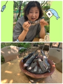 千葉家族旅行_e0040673_15024867.jpg