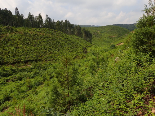 f0348480_14361762.jpg
