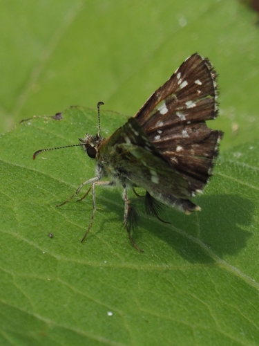 f0348480_14531484.jpg