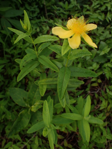 f0348480_15001465.jpg