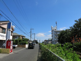 e0130185_1205024.jpg