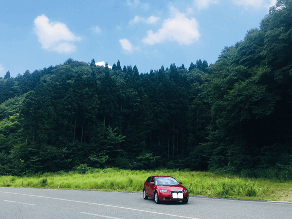a0107193_19305439.gif