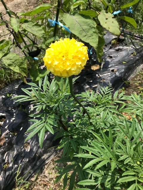 f0204295_13092613.jpg