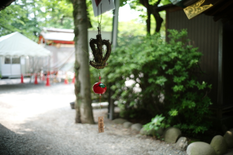 愛宕神社_b0352397_20074635.jpg