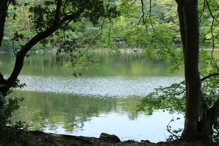 a0123003_12123734.jpg