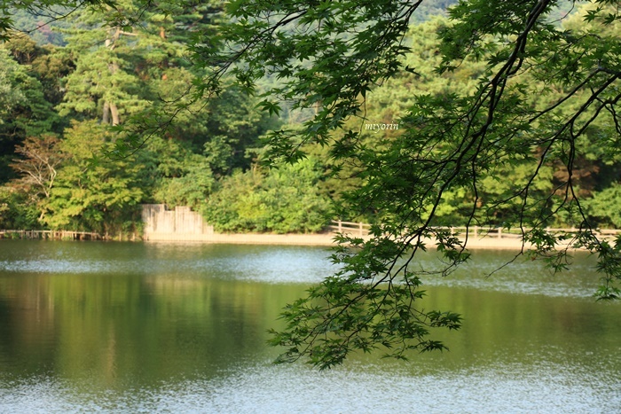 a0123003_12132846.jpg