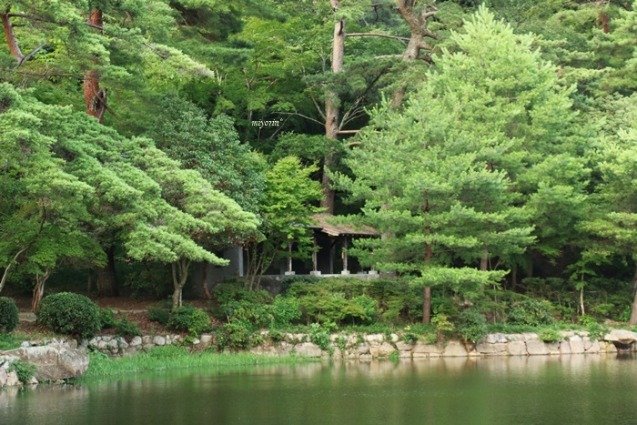 a0123003_12243571.jpg