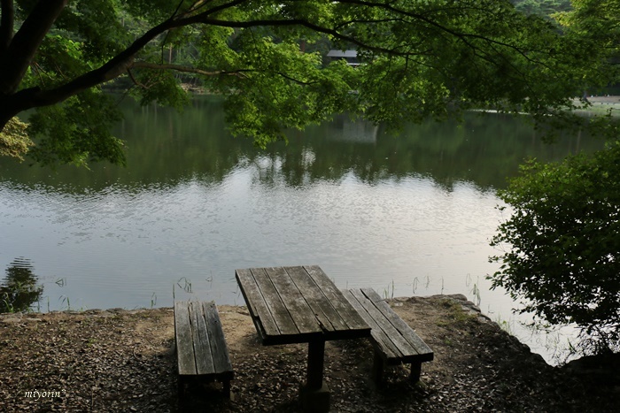 a0123003_12253794.jpg