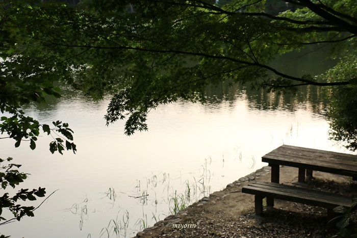 a0123003_12275549.jpg