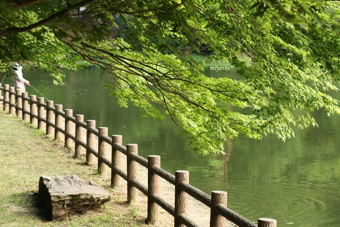 a0123003_12322143.jpg