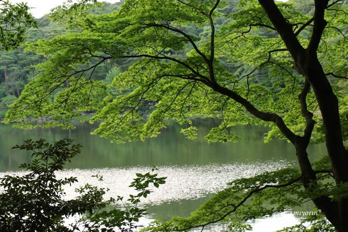 a0123003_12351059.jpg