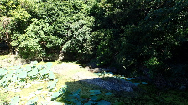 c0367107_09171414.jpg