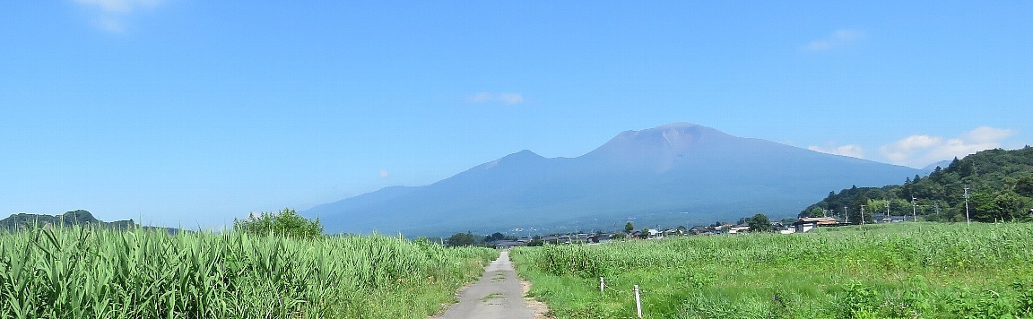 a0138609_21275711.jpg