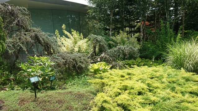b0035611_20475320.jpg